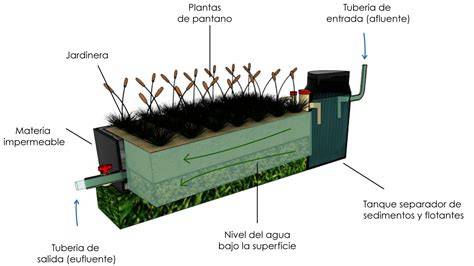 Esquema de filtro vegetal para aguas residuales