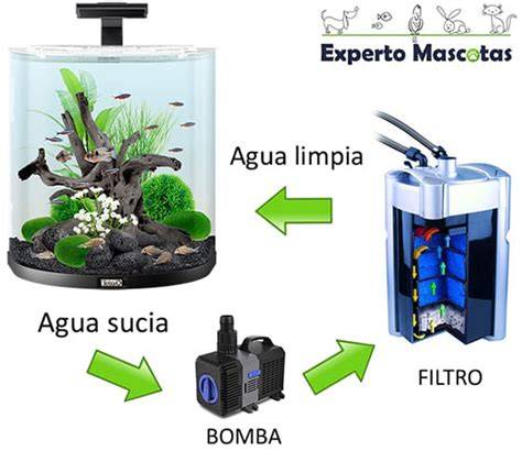 Esquema de filtración de acuario