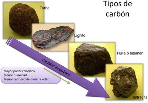 Esquema de capas sílex antracita carbón