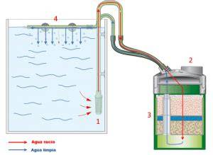 Funcionamiento de filtro interior acuario